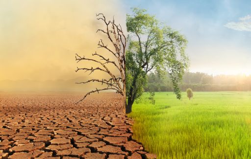 Sustainable & Ethical AI
